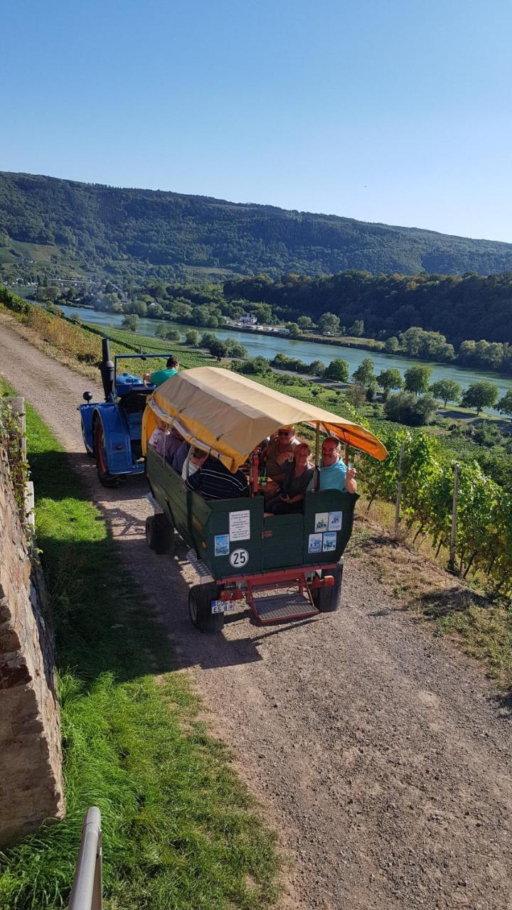 Weingut Erich Serwazi Мезеніх Екстер'єр фото